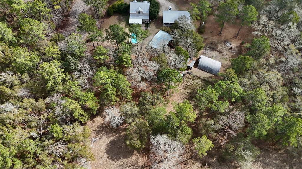 210 Tucker Springs Road Sopchoppy, FL 32358 - Photo 50 of 93