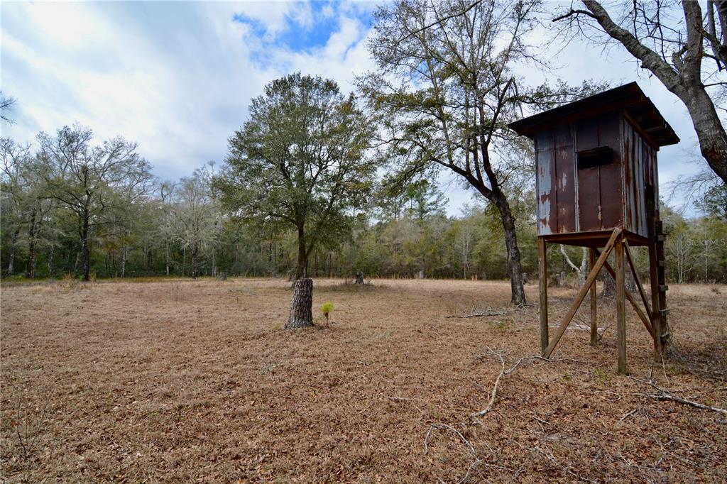 210 Tucker Springs Road Sopchoppy, FL 32358 - Photo 5 of 93