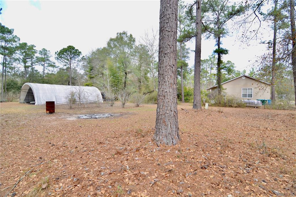 210 Tucker Springs Road Sopchoppy, FL 32358 - Photo 63 of 93