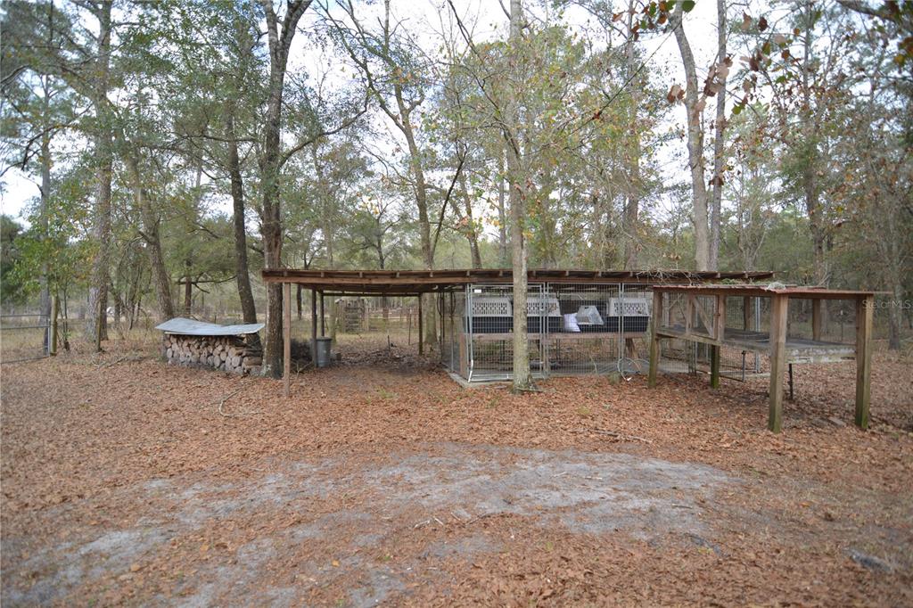 210 Tucker Springs Road Sopchoppy, FL 32358 - Photo 64 of 93