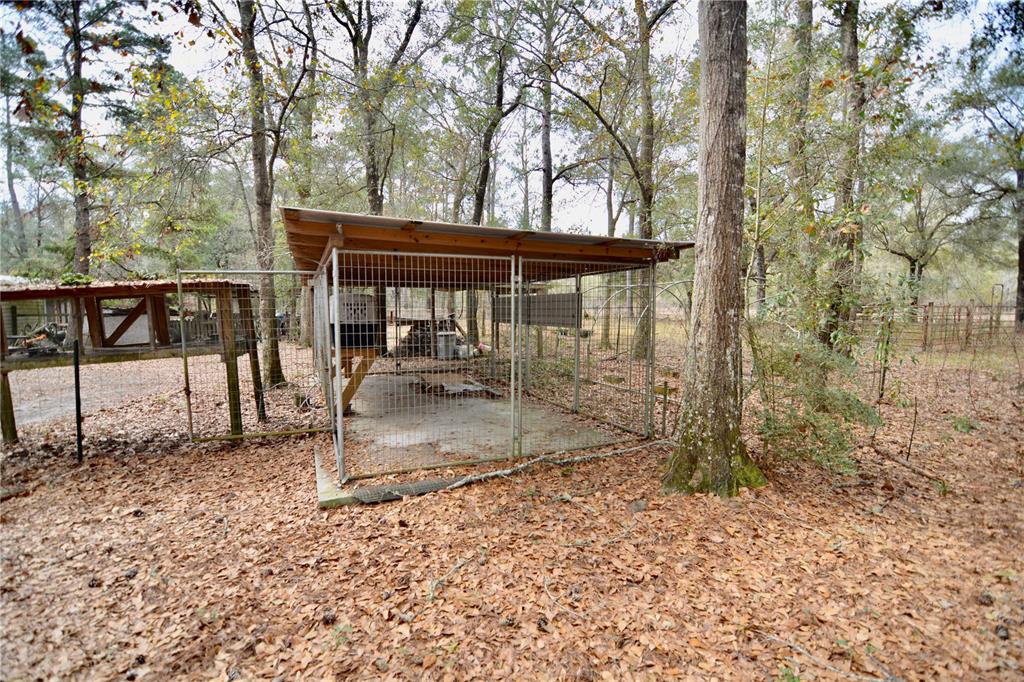 210 Tucker Springs Road Sopchoppy, FL 32358 - Photo 65 of 93