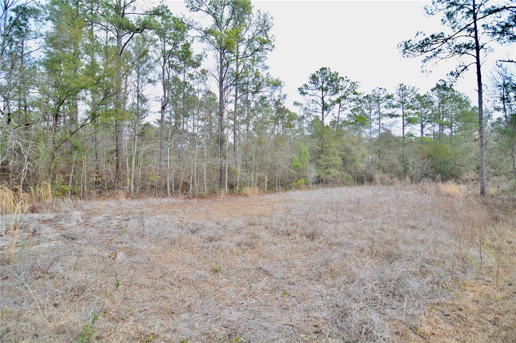 210 Tucker Springs Road Sopchoppy, FL 32358 - Photo 66 of 93