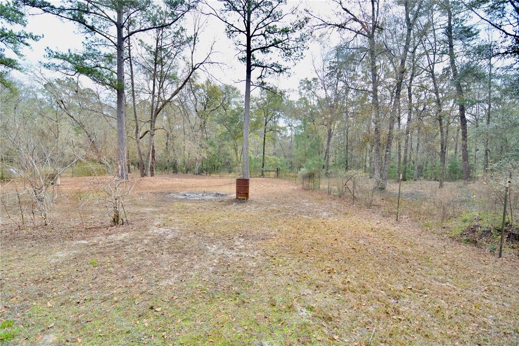 210 Tucker Springs Road Sopchoppy, FL 32358 - Photo 67 of 93