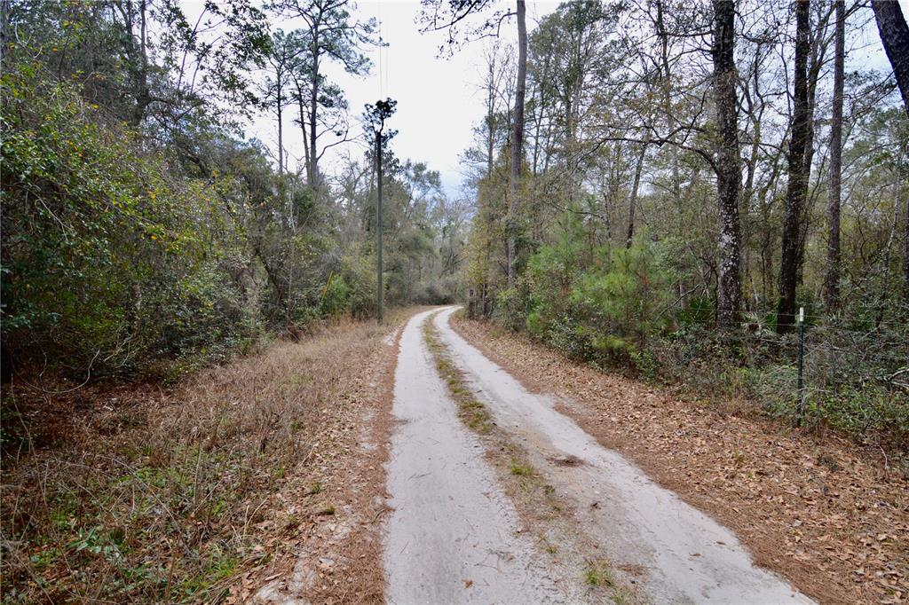 210 Tucker Springs Road Sopchoppy, FL 32358 - Photo 71 of 93
