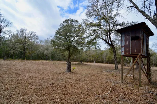 $999,990 | 210 Tucker Springs Road, Sopchoppy, FL 32358