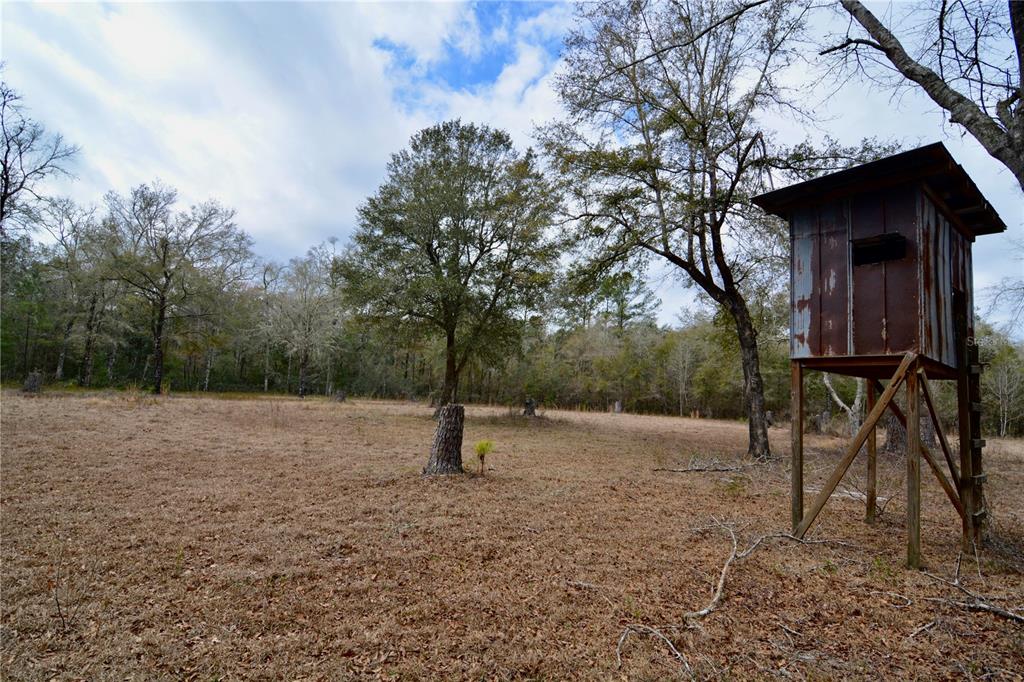 210 Tucker Springs Road Sopchoppy, FL 32358 - Photo 72 of 93