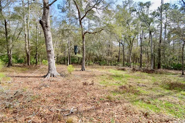 $999,990 | 210 Tucker Springs Road, Sopchoppy, FL 32358