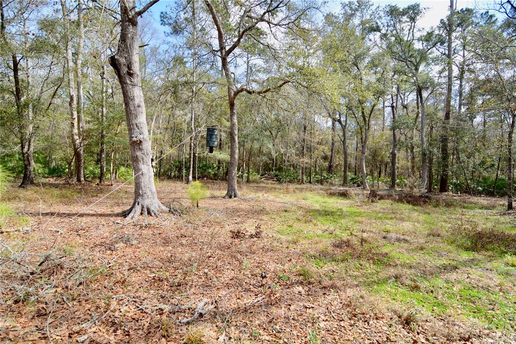 210 Tucker Springs Road Sopchoppy, FL 32358 - Photo 73 of 93