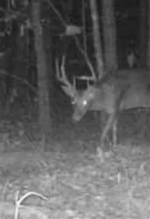 $999,990 | 210 Tucker Springs Road, Sopchoppy, FL 32358