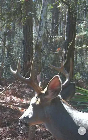 $999,990 | 210 Tucker Springs Road, Sopchoppy, FL 32358