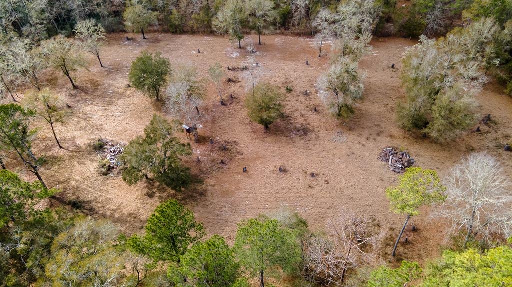 210 Tucker Springs Road Sopchoppy, FL 32358 - Photo 87 of 93