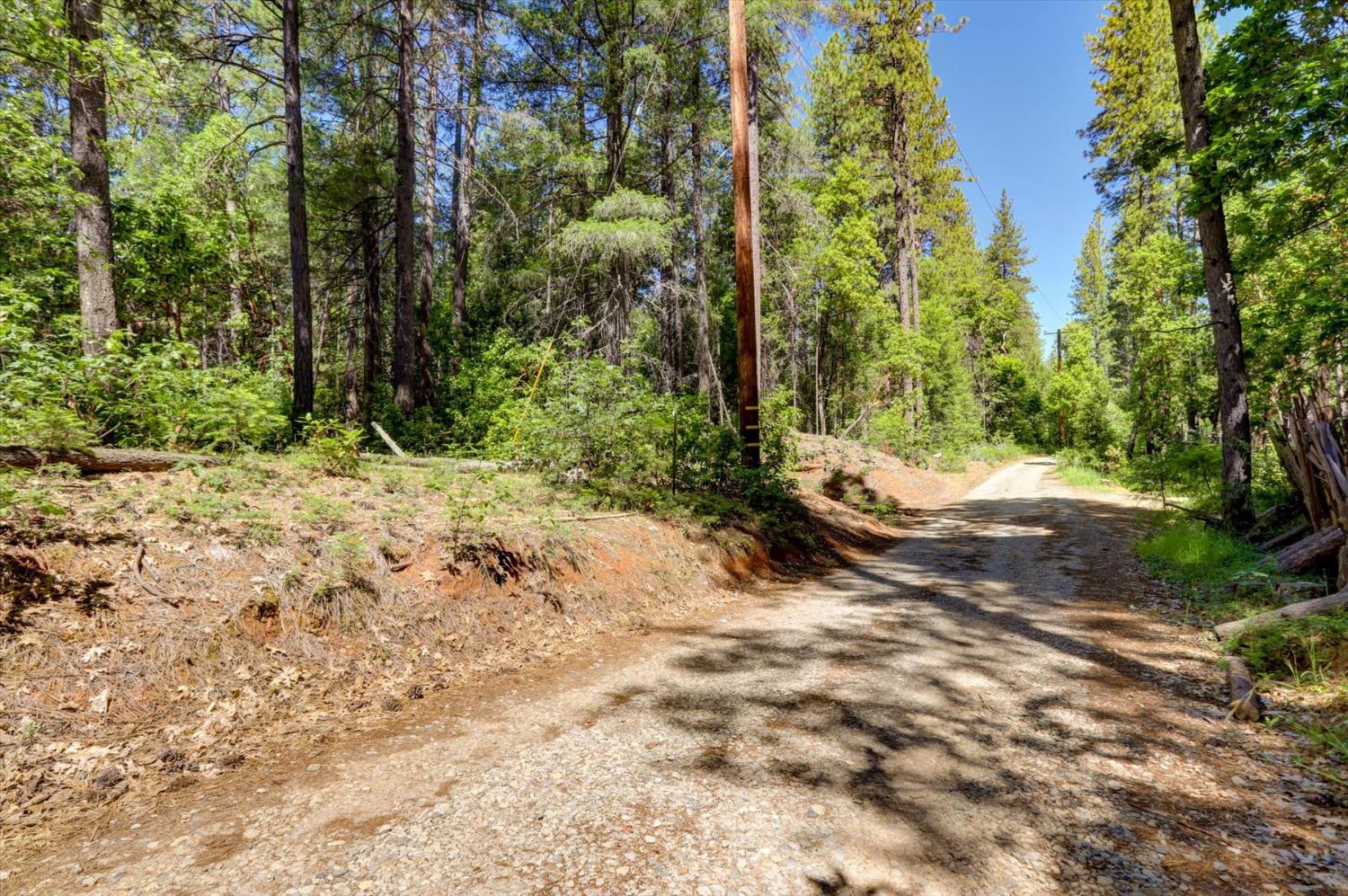 17390 Skyland Road Nevada City, CA 95959 - Photo 15 of 17