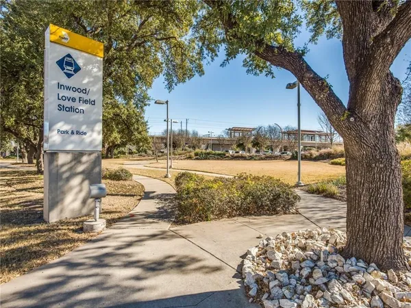a street view with large trees