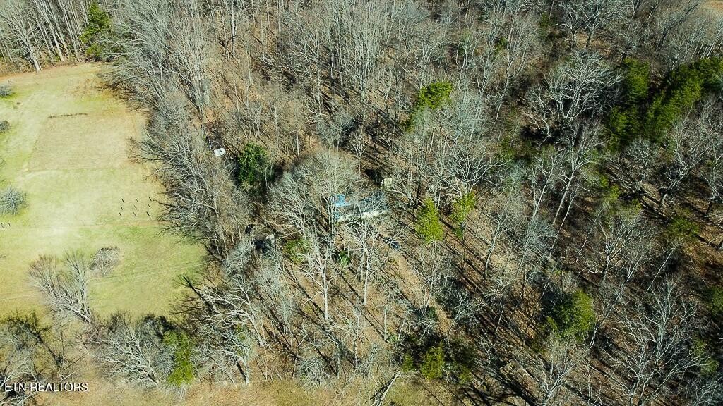 351 Blacks Ferry Road Knoxville, TN 37931 - Photo 1 of 29 Gallery Image 1