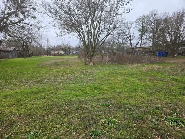 a view of a field with trees