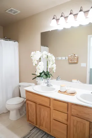 a bathroom with a sink and a toilet