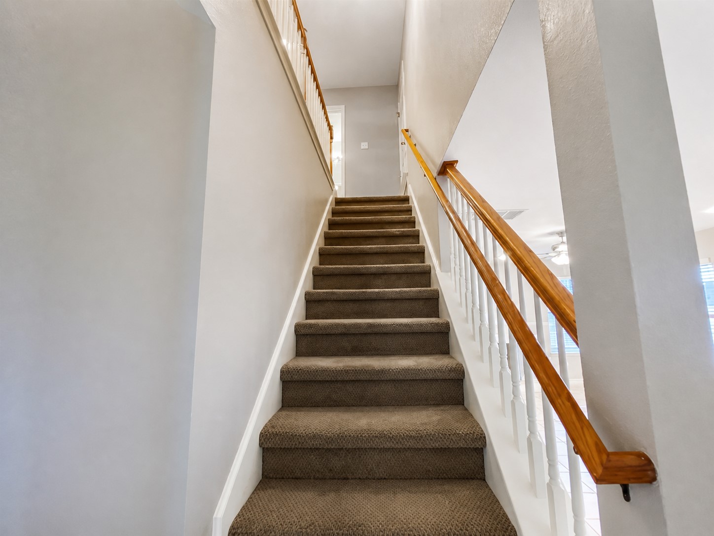14828 Single Trace Austin, TX 78728 - Photo 10 of 30 Staircase featuring brown carpeted treads, white risers, and a banister with white balusters and wood-finish handrails