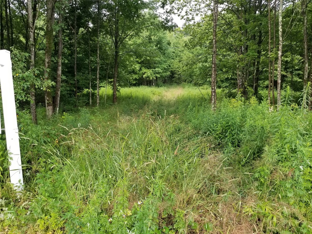 0 Lake Of Meadows Rd South Little Meadows, PA 18830 - Photo 2 of 5