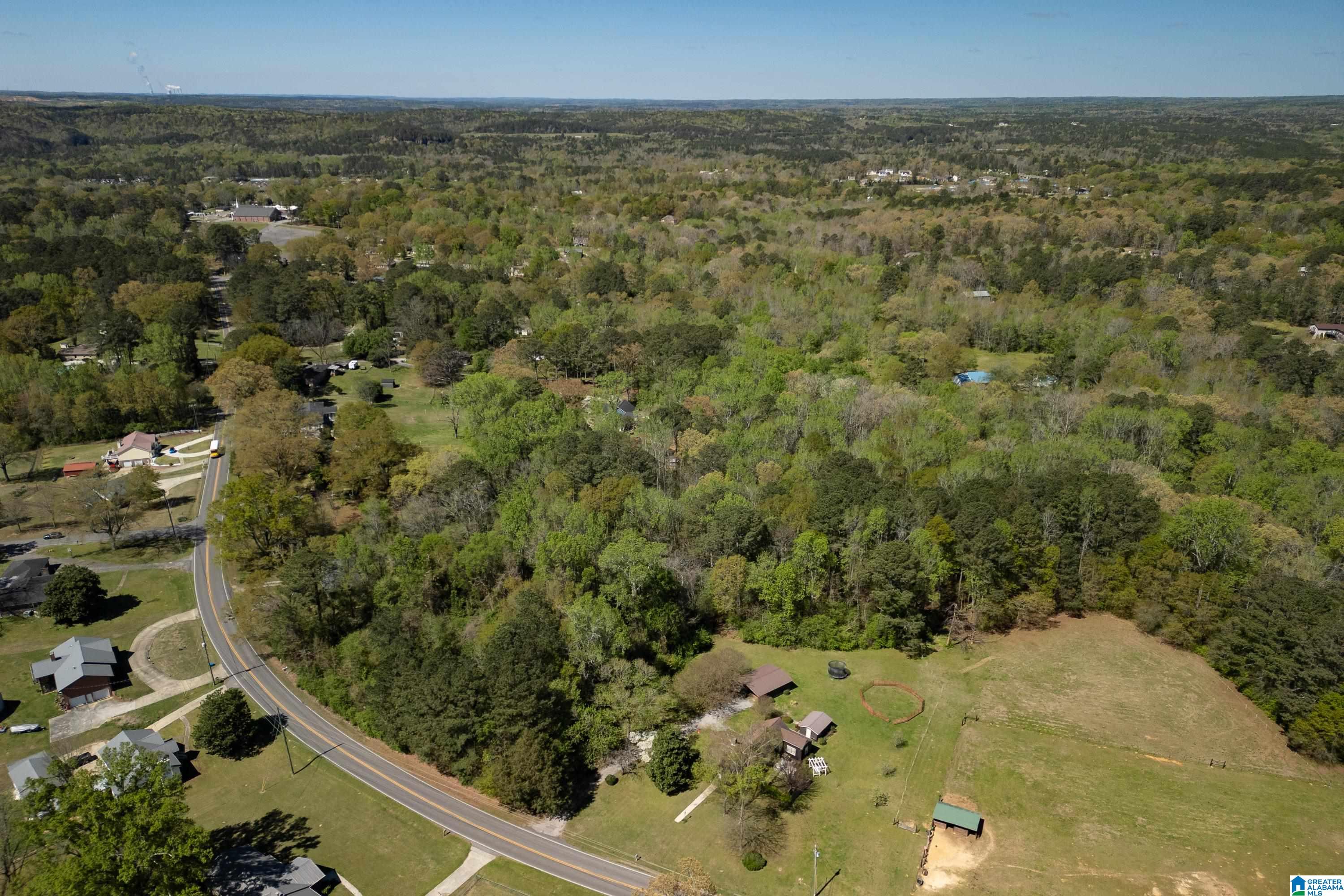 1044 Morris Majestic Road Morris, AL 35116 - Photo 8 of 13