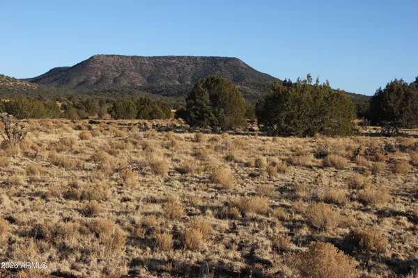 $45,000 | Wrangler R Wrangler Ridge Road, Unit 301118203, Seligman, AZ 86337