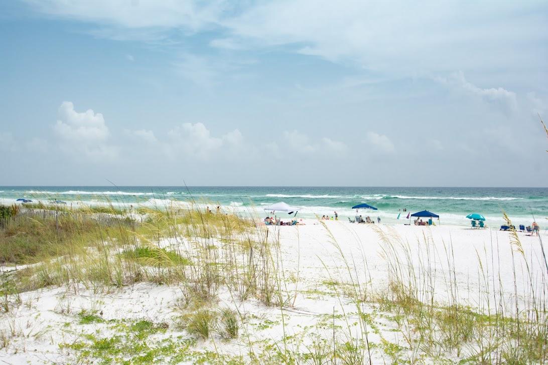 245 Enchanted Way Santa Rosa Beach, FL 32459 - Photo 21 of 36 Gallery Image 21