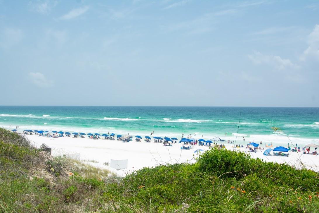 245 Enchanted Way Santa Rosa Beach, FL 32459 - Photo 26 of 36 Gallery Image 26