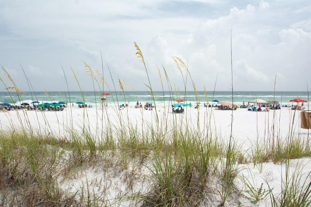 245 Enchanted Way Santa Rosa Beach, FL 32459 - Photo 27 of 36 Gallery Image 27