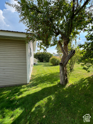 108 South Road Montpelier, ID 83254 - Photo 24 of 36 View of green lawn