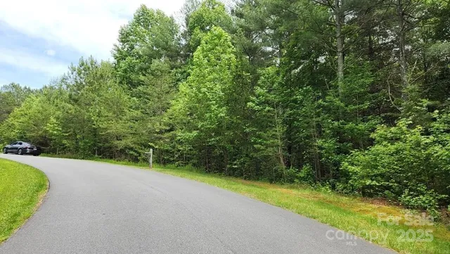 a view of a yard with a trees
