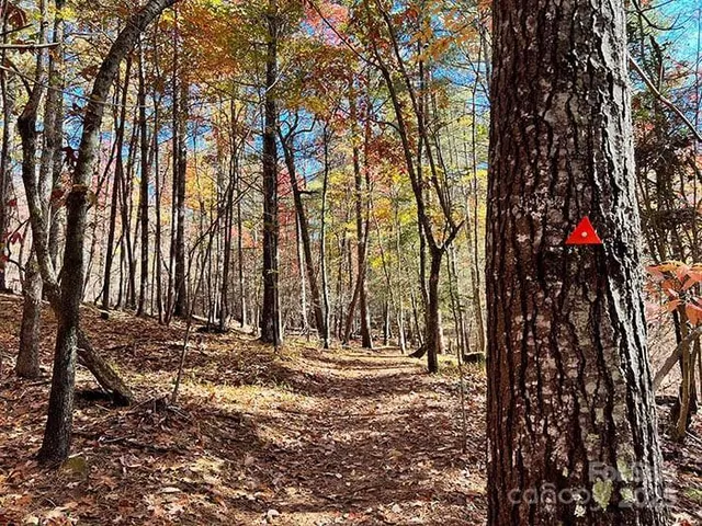 a view of outdoor space with trees