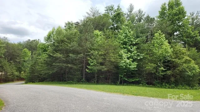 a view of a field with a trees in the background