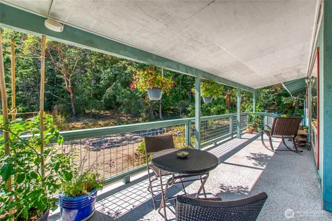 a roof deck with table and chairs potted plants and a palm tree