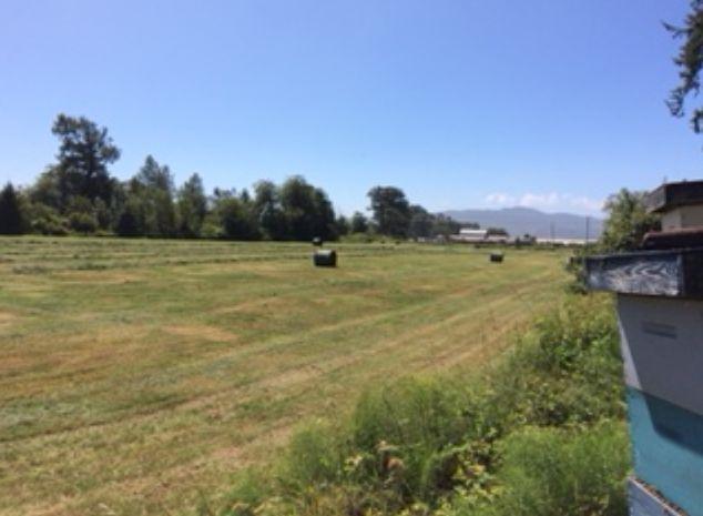 0 Latimer Road North Tillamook, OR 97141 - Photo 13 of 13 50