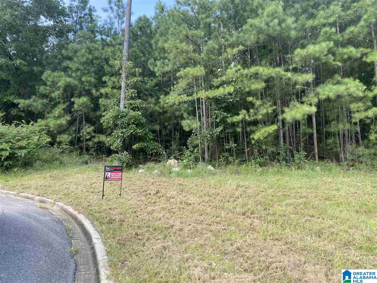 1225 Grande View Lane, Unit 816 Alabaster, AL 35114 - Photo 2 of 2
