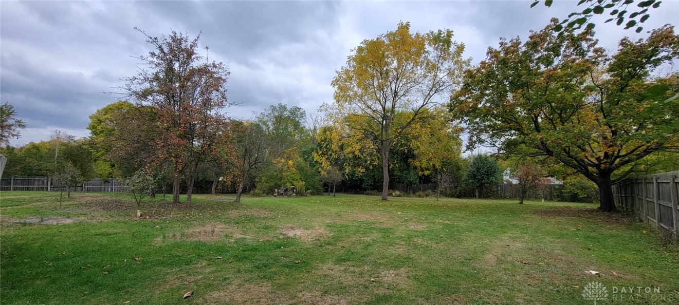 6240 Garber Road Clayton, OH 45415 - Photo 7 of 57 Variety of fruit/nut trees