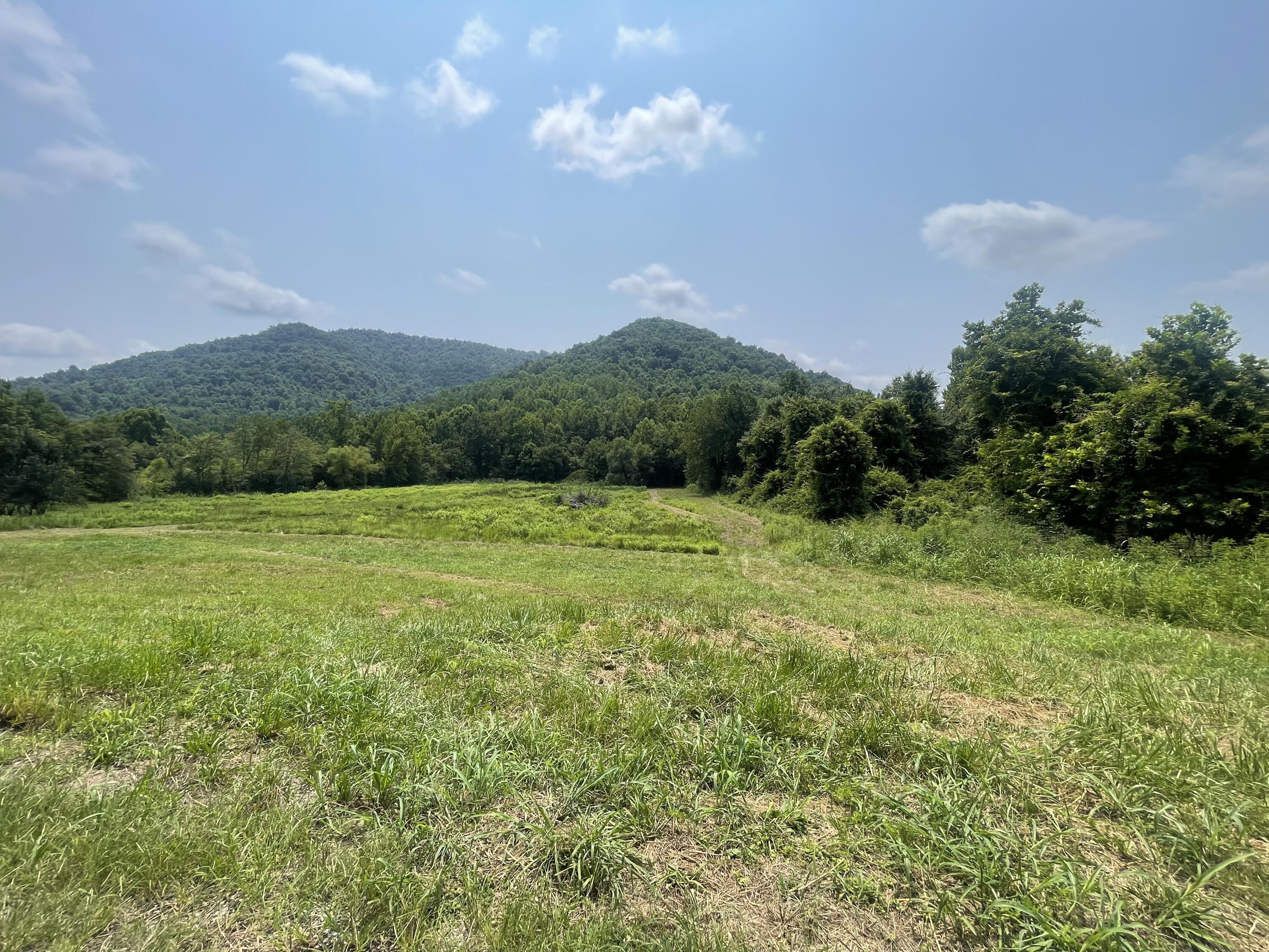 791 Moore Creek Road Fourmile, KY 40939 - Photo 10 of 10 IMG_4077