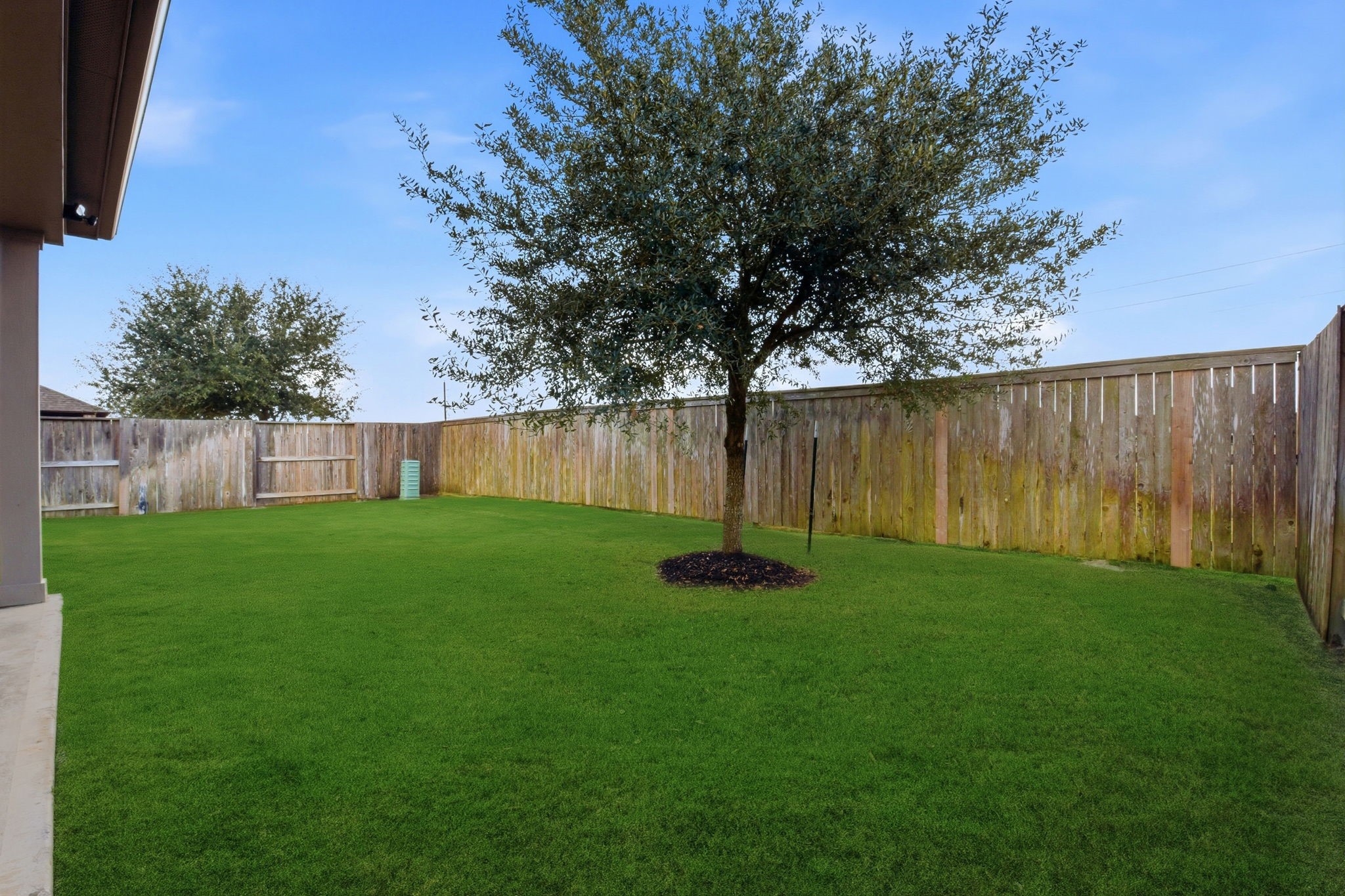 3410 Shockley Lane Rosharon, TX 77583 - Photo 30 of 32 a view of backyard with green space