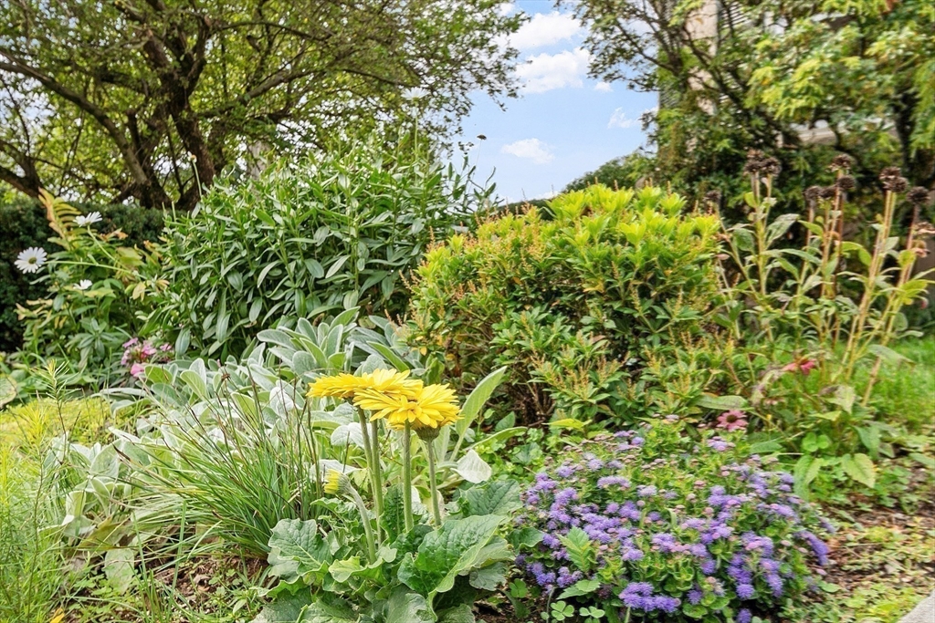 394 Plainfield Road, Unit 394 Concord, MA 01742 - Photo 23 of 40 a backyard of a house with lots of green space and garden in the back