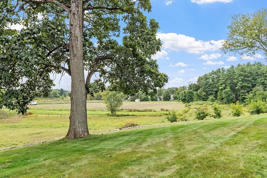 394 Plainfield Road, Unit 394 Concord, MA 01742 - Photo 4 of 40 a view of an outdoor space and a yard