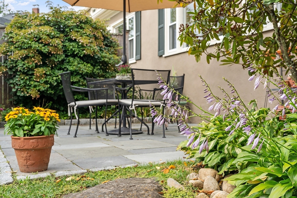 394 Plainfield Road, Unit 394 Concord, MA 01742 - Photo 6 of 40 a view of outdoor space yard and patio