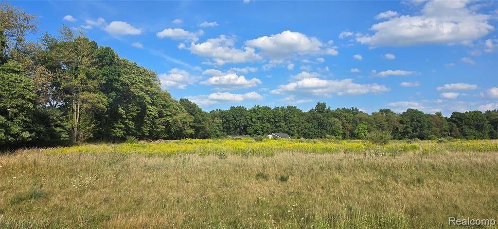 0 Gregory Ridge Road Fowlerville, MI 48836 - Photo 21 of 24 Gallery Image 21