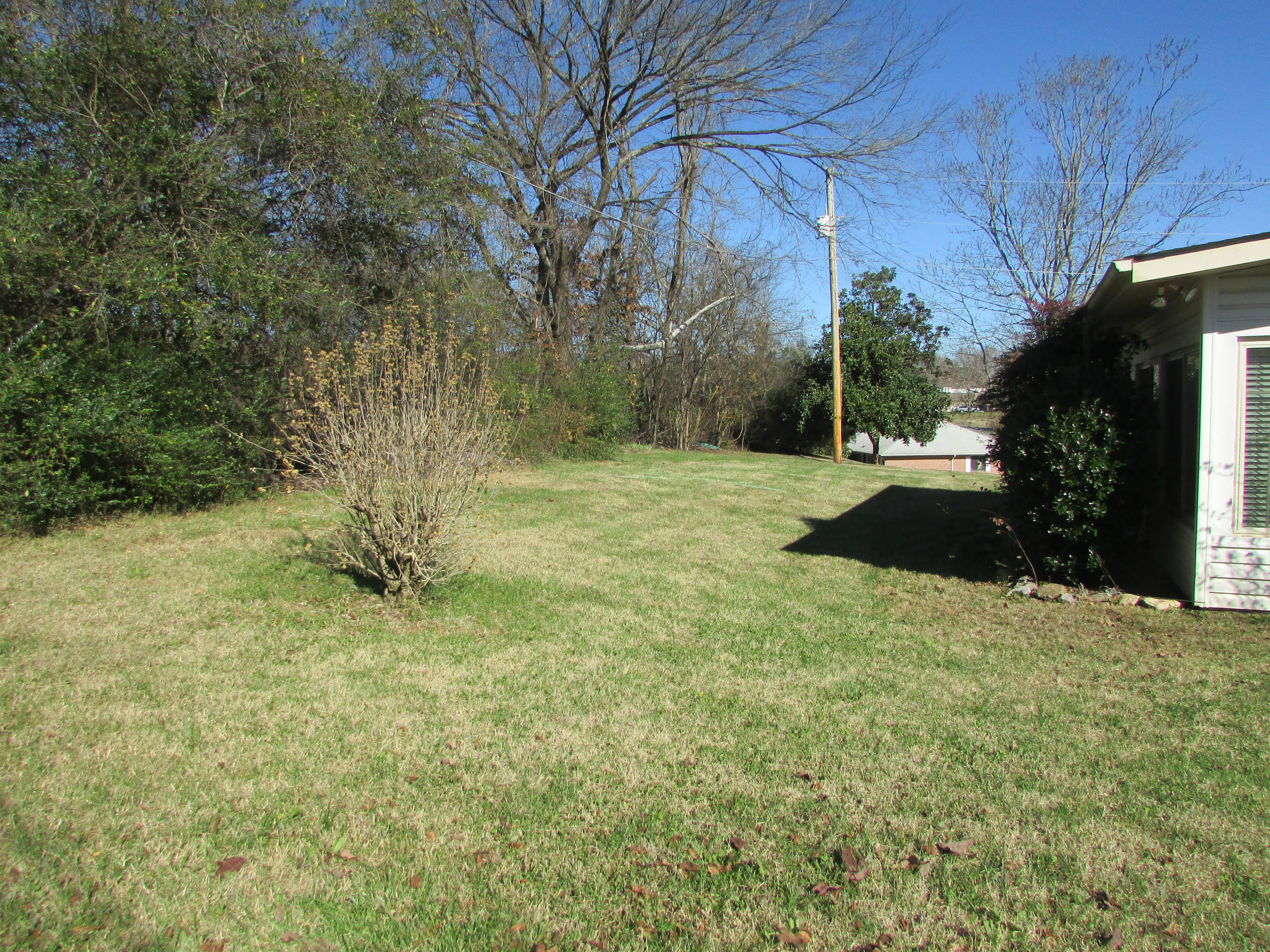 7775 Norwich Road, Unit 18 Powell, TN 37849 - Photo 30 of 31 nice flat back yard back up to acreage