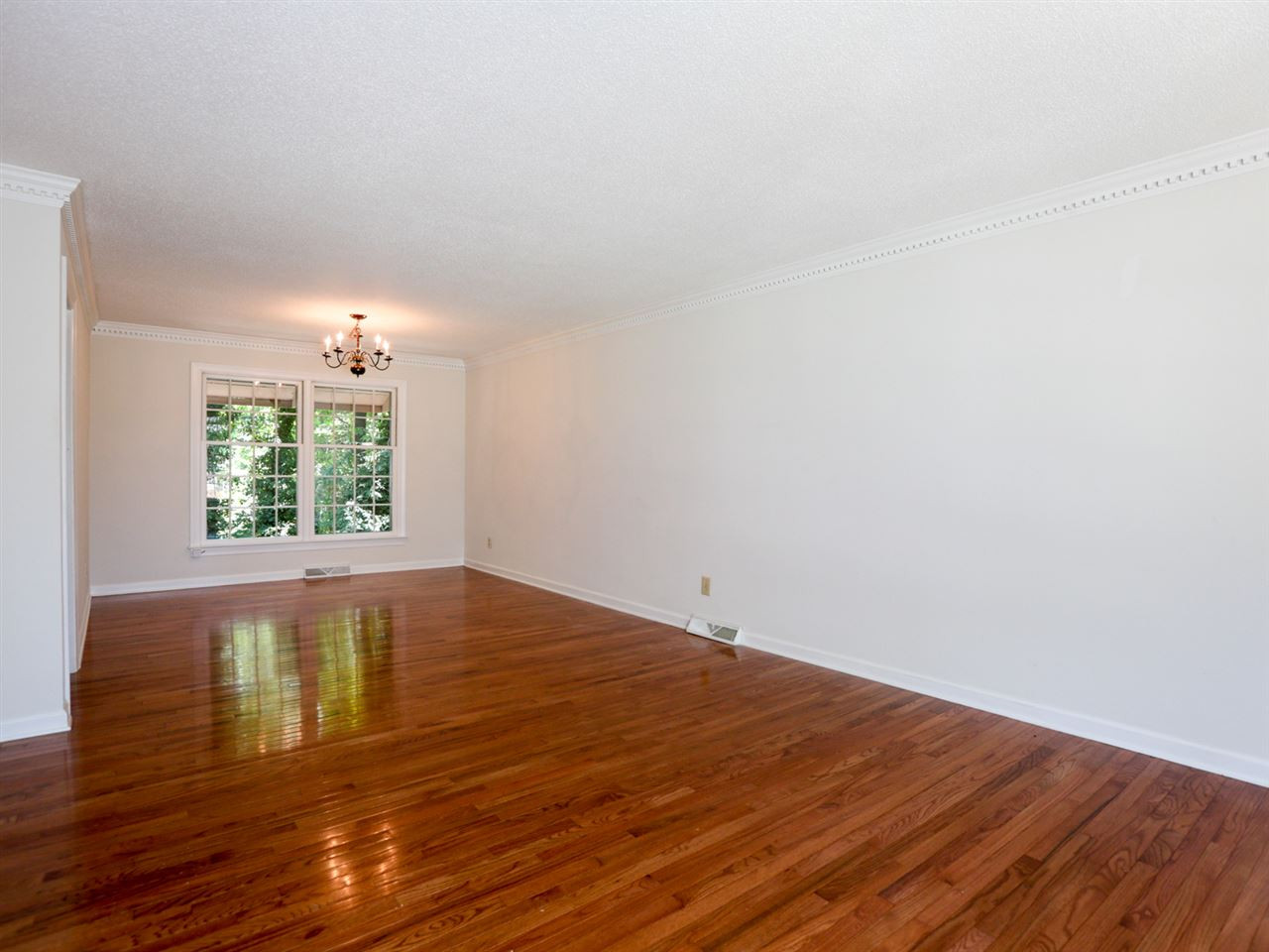 3429 Horton Street Raleigh, NC 27607 - Photo 5 of 25 Wood floors with large windows to allow sunlight in throughout the day. Den/Family/Great Room