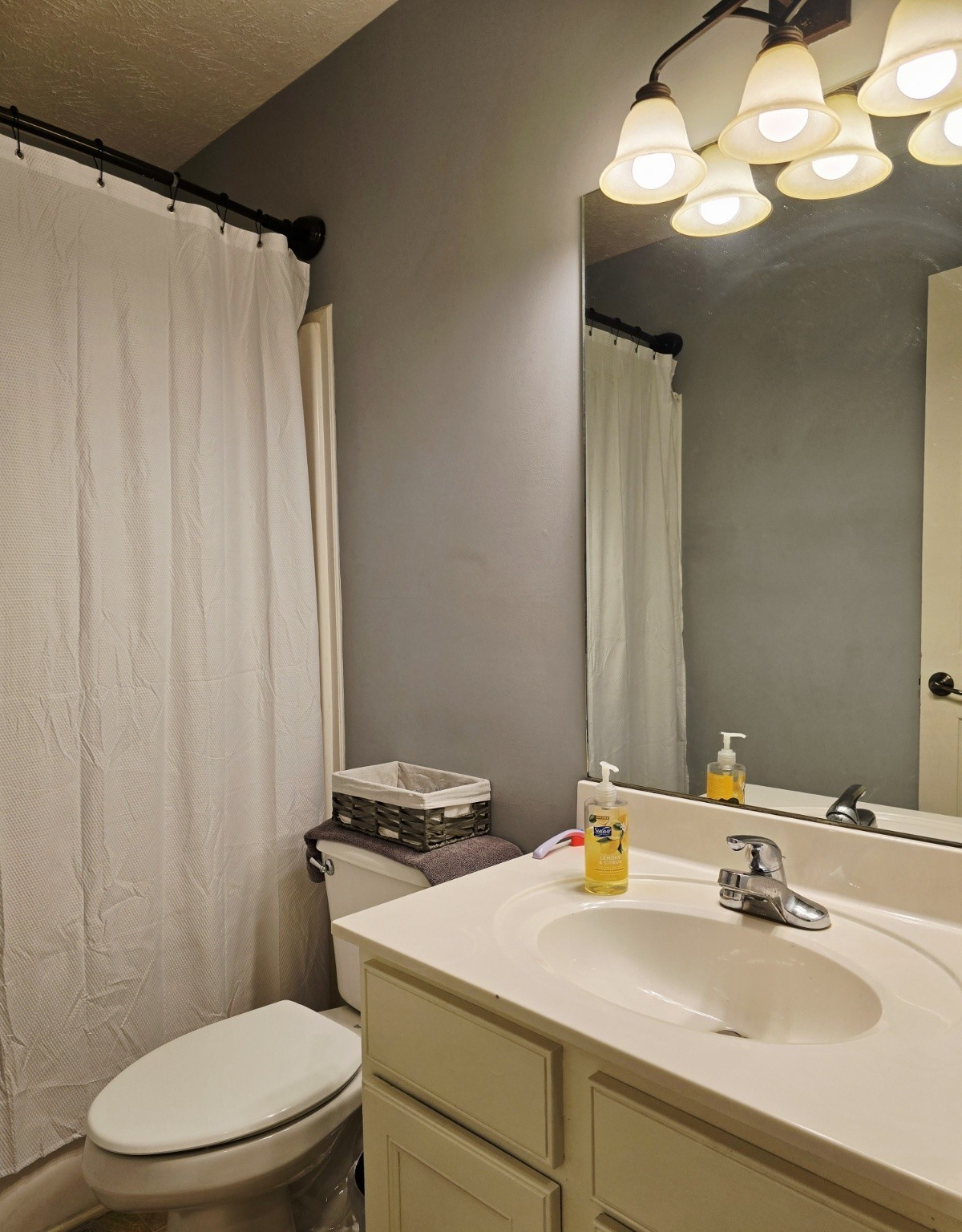 135 Excell Road, Unit 1003 Clarksville, TN 37043 - Photo 32 of 39 a bathroom with a sink vanity mirror and toilet