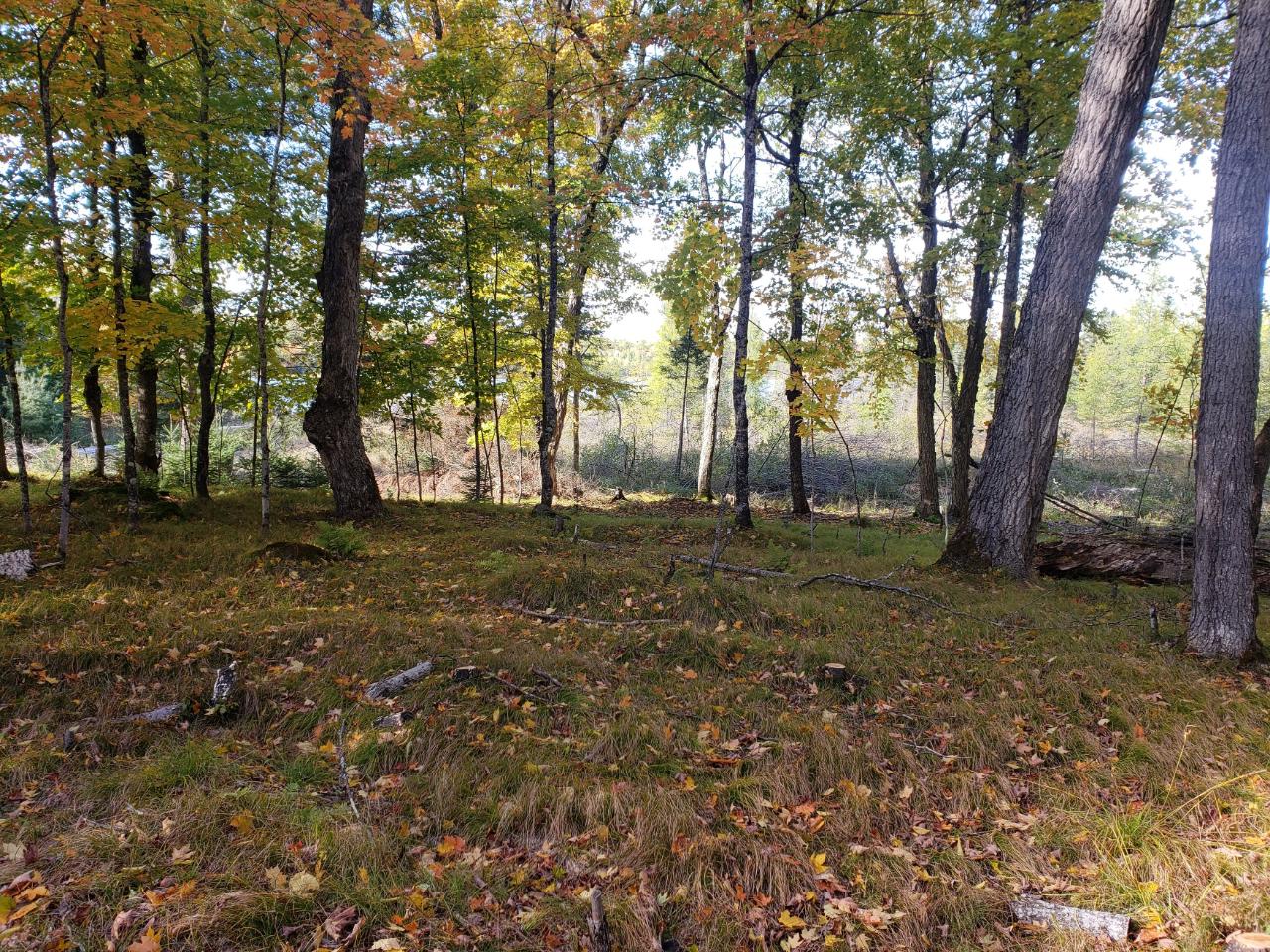 1689 Sugar Bush Road, Unit B Watersmeet, MI 49969 - Photo 20 of 20 Gallery Image 20