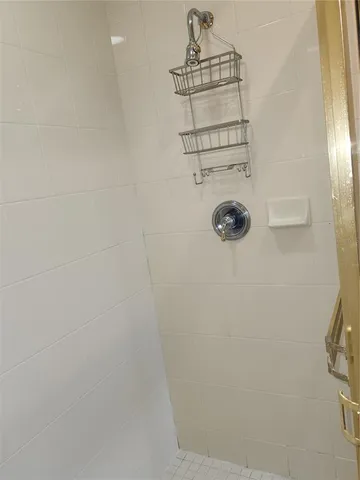 a close view of a shower in kitchen
