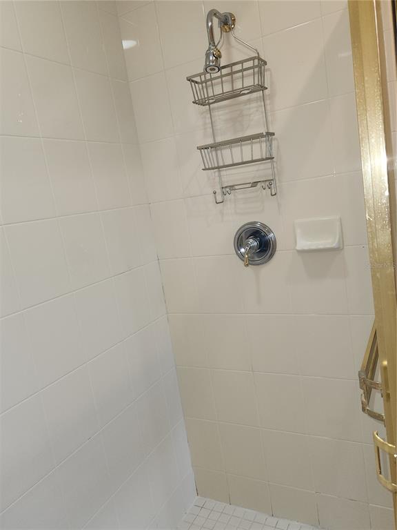 6642 Tailfeather Way Bradenton, FL 34203 - Photo 20 of 28 a close view of a shower in kitchen