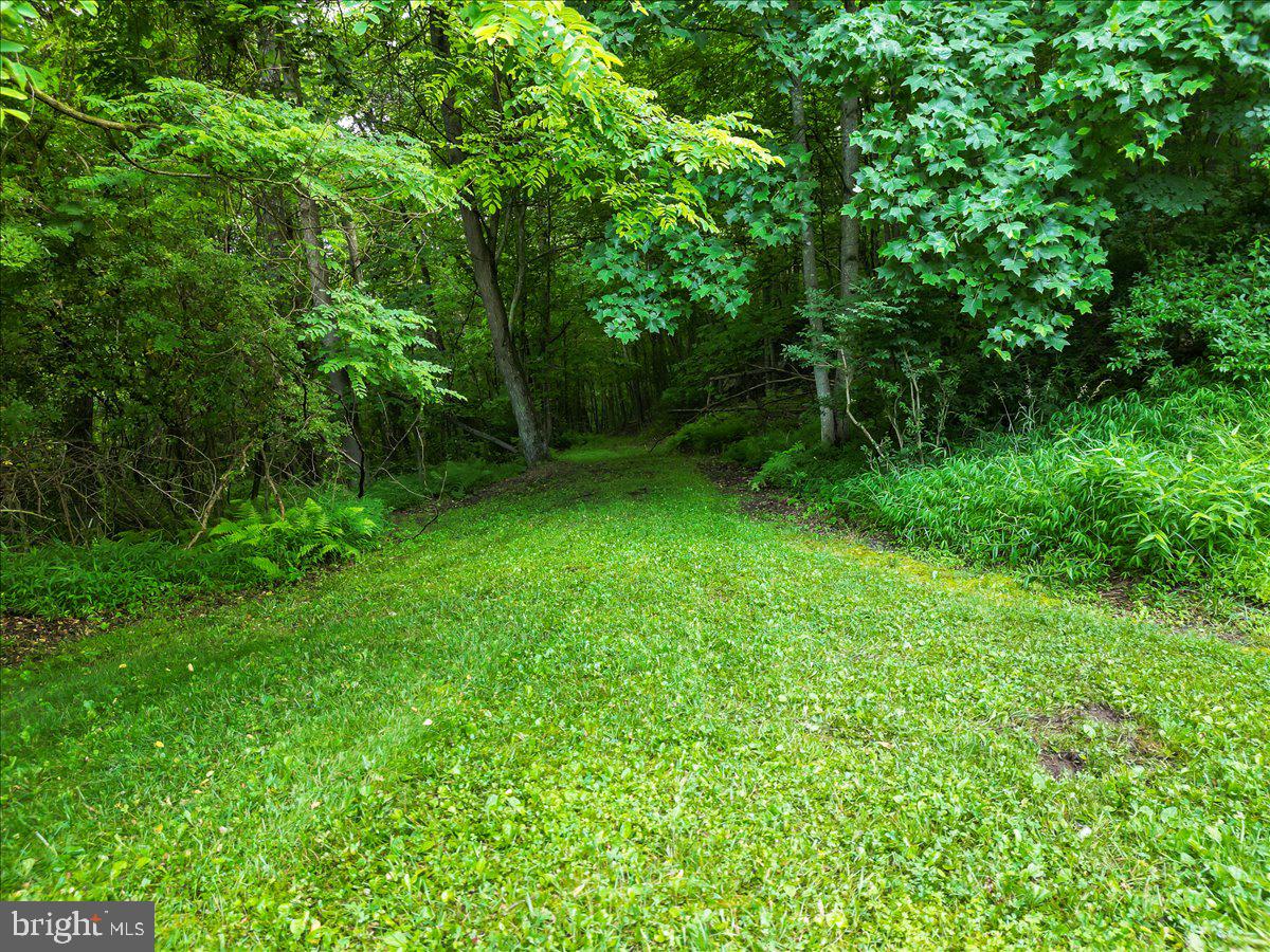 611 Timber Trail McHenry, MD 21541 - Photo 4 of 31