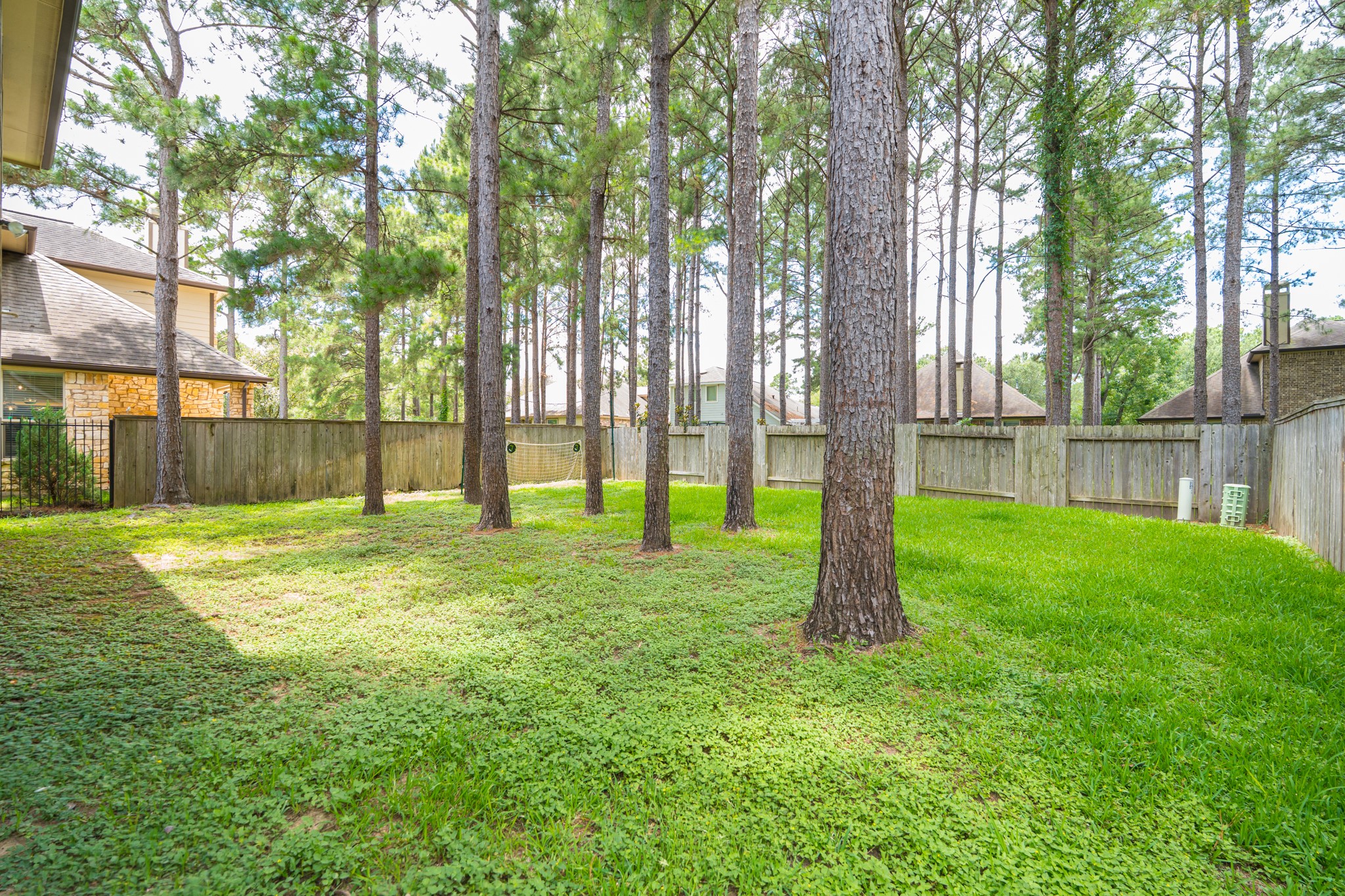 79 West Jagged Ridge Circle Spring, TX 77389 - Photo 42 of 50 The private backyard offers a generous lawn enclosed by a wood privacy fence, with mature pine trees providing natural shade and a peaceful, secluded feel. It's a wonderful space for pets, play, gardening, or simply enjoying the outdoors.