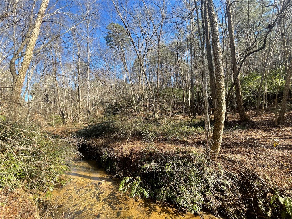 0 Alexander Road Salem, SC 29676 - Photo 15 of 46 Gallery Image 15